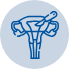 Hysterectomy Icon