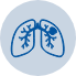 Lung Cancer Icon
